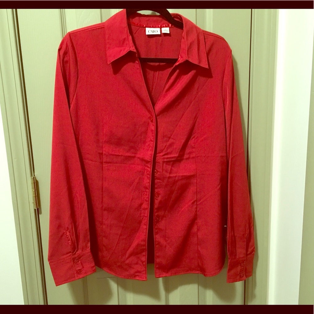 Red Blouse